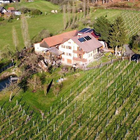 Appartement Weingut Schoberhof Bad Gleichenberg Esterno foto