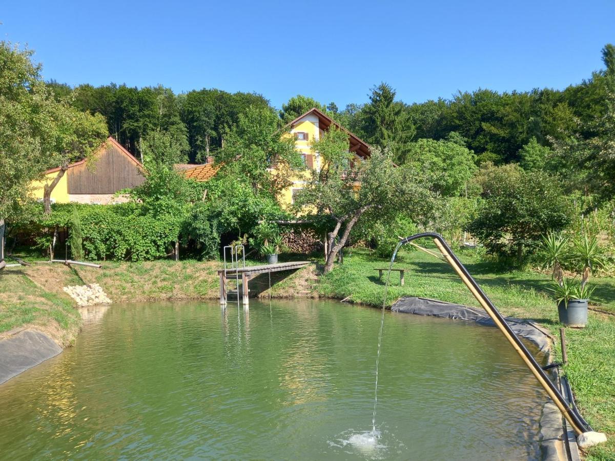Appartement Weingut Schoberhof Bad Gleichenberg Esterno foto