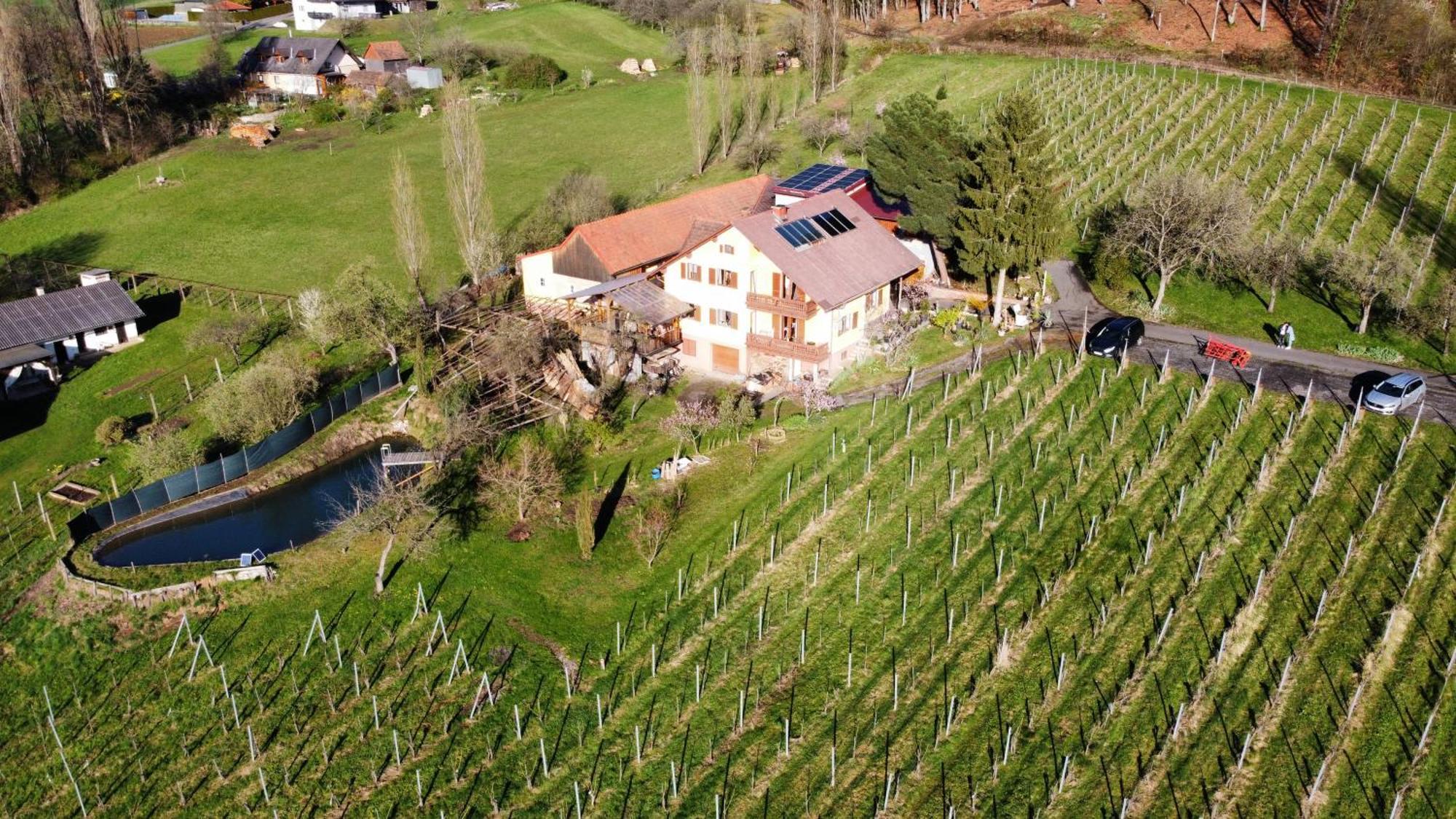 Appartement Weingut Schoberhof Bad Gleichenberg Esterno foto