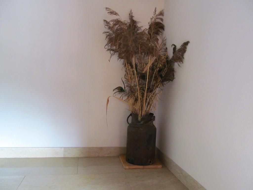 Appartement Weingut Schoberhof Bad Gleichenberg Camera foto