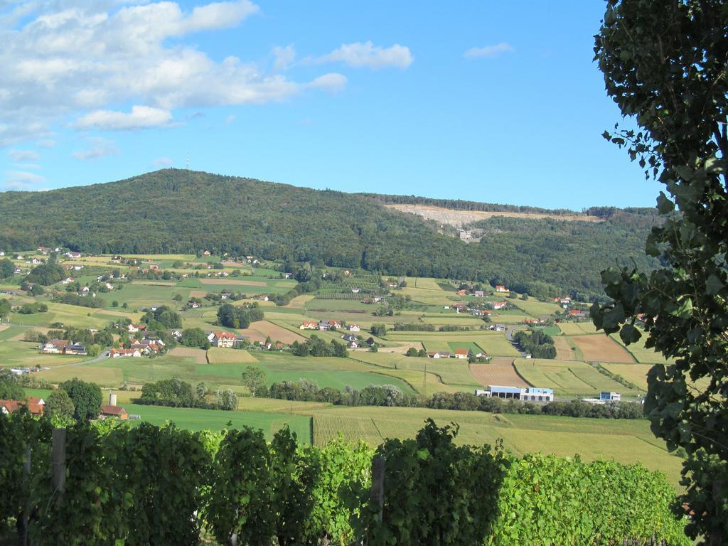 Appartement Weingut Schoberhof Bad Gleichenberg Camera foto