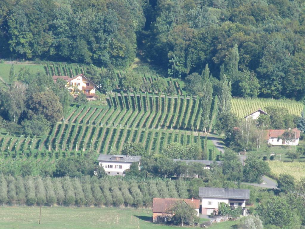 Appartement Weingut Schoberhof Bad Gleichenberg Camera foto