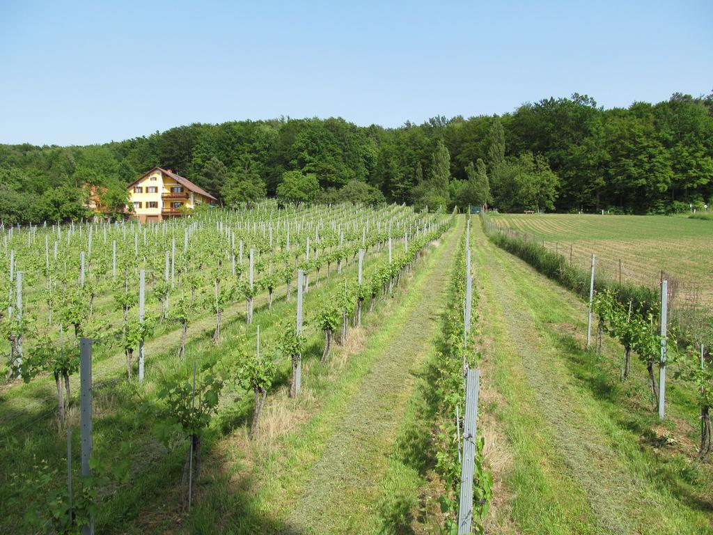 Appartement Weingut Schoberhof Bad Gleichenberg Camera foto