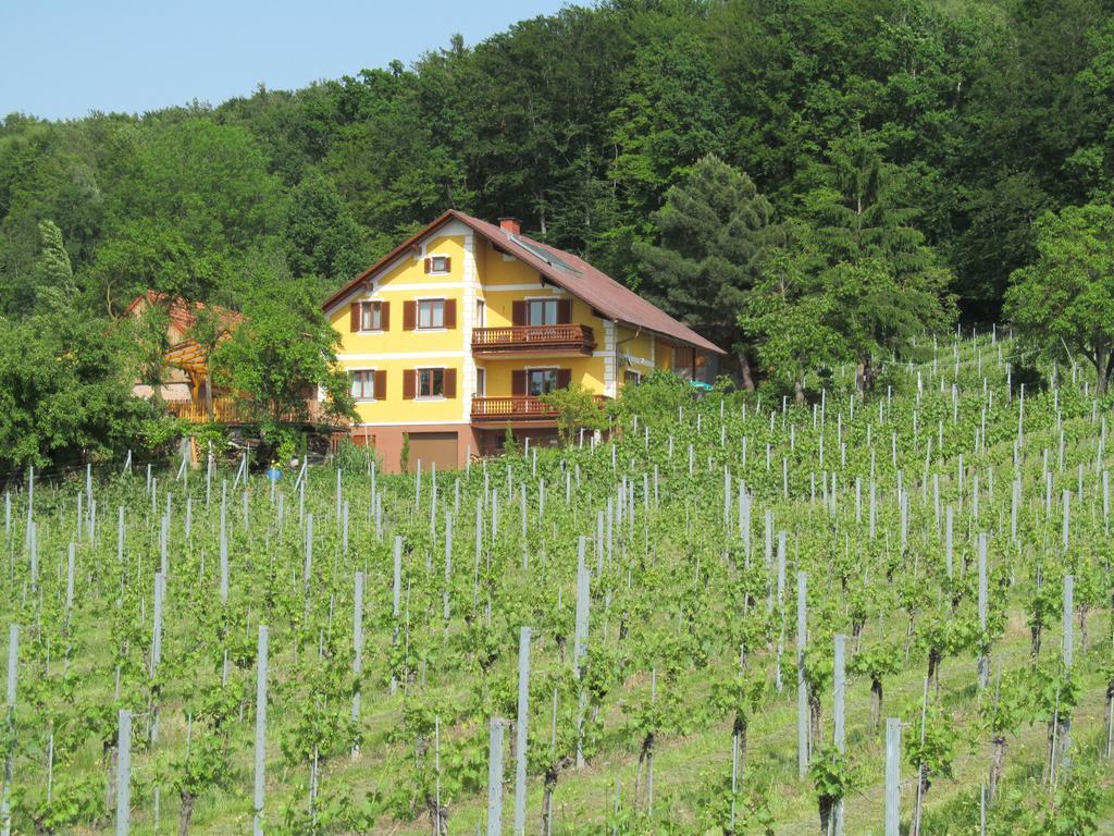 Appartement Weingut Schoberhof Bad Gleichenberg Camera foto