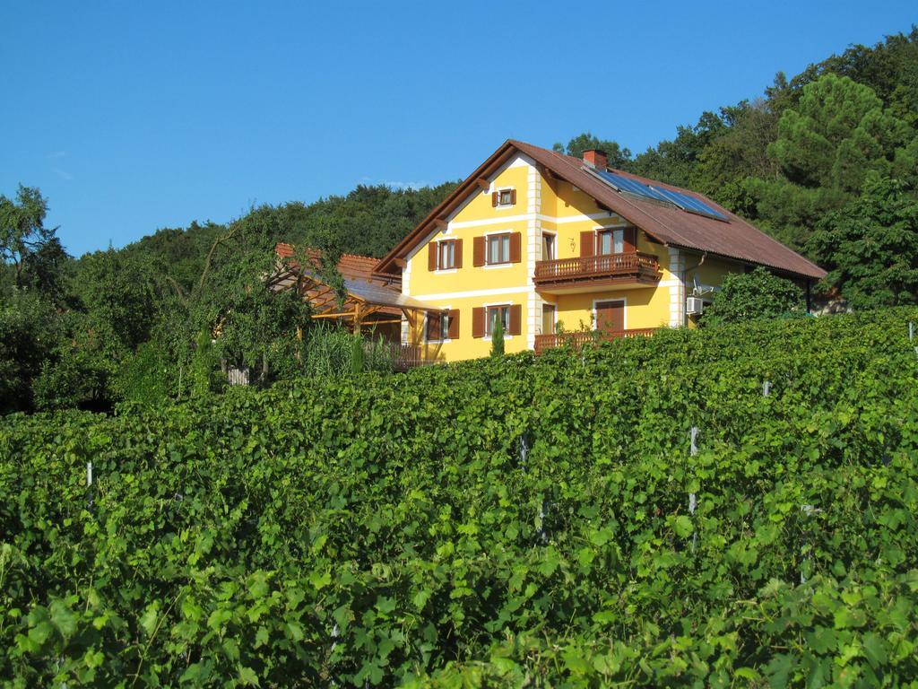 Appartement Weingut Schoberhof Bad Gleichenberg Esterno foto