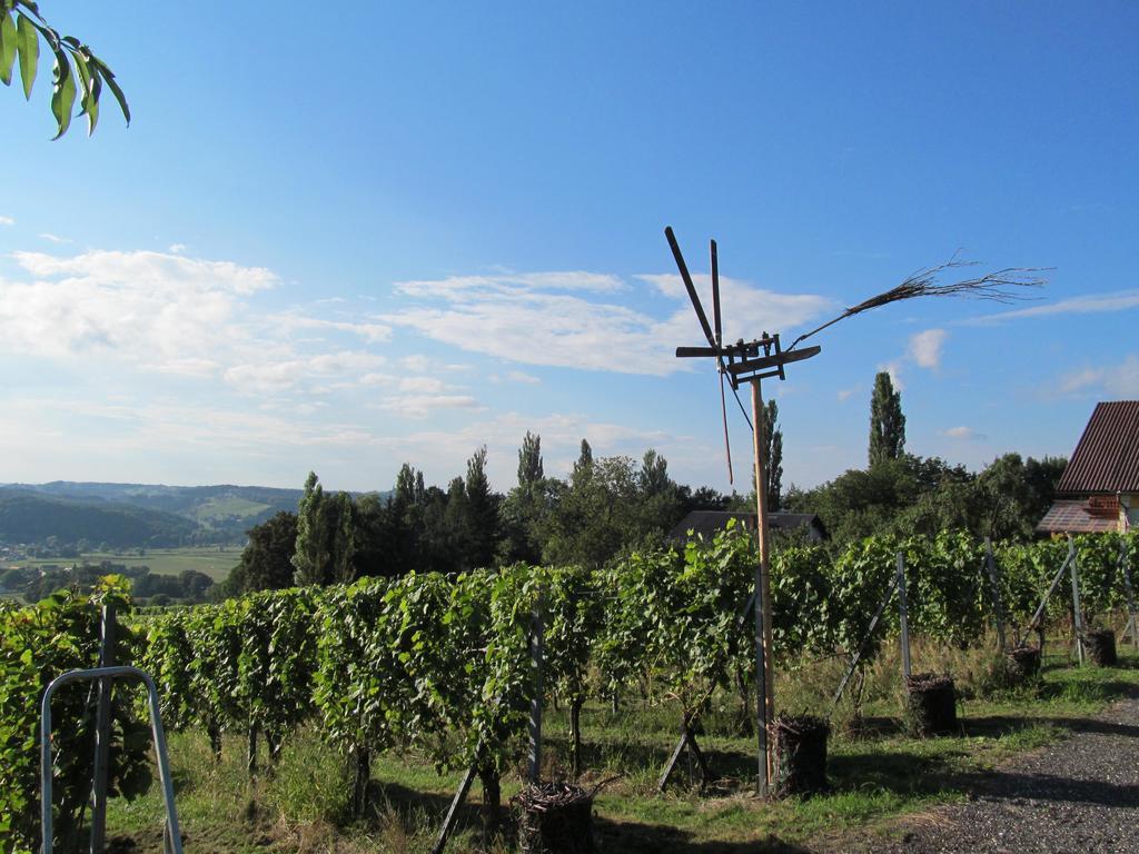 Appartement Weingut Schoberhof Bad Gleichenberg Esterno foto