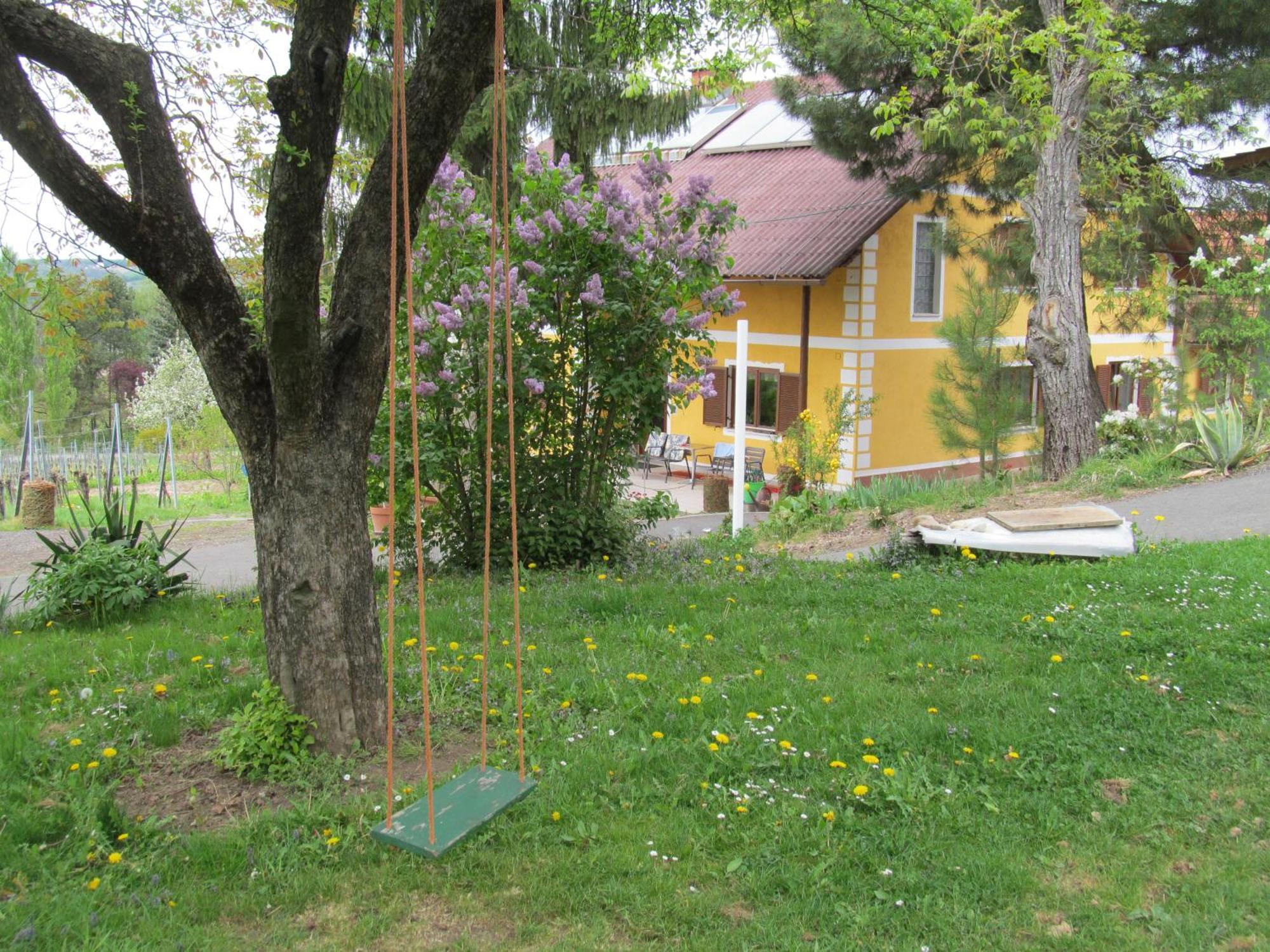 Appartement Weingut Schoberhof Bad Gleichenberg Esterno foto